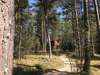 Дома для отпуска Tahkuna tree-house Tahkuna-4