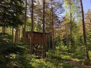 Дома для отпуска Tahkuna tree-house Tahkuna Дом с 1 спальней-41