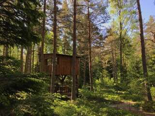 Дома для отпуска Tahkuna tree-house Tahkuna Дом с 1 спальней-99